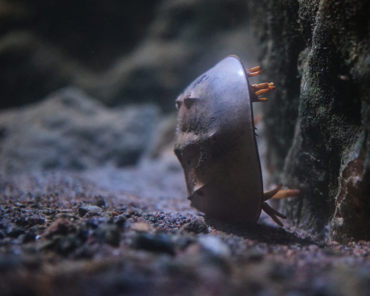 What I'm Reading / Watching / Playing - April 2025