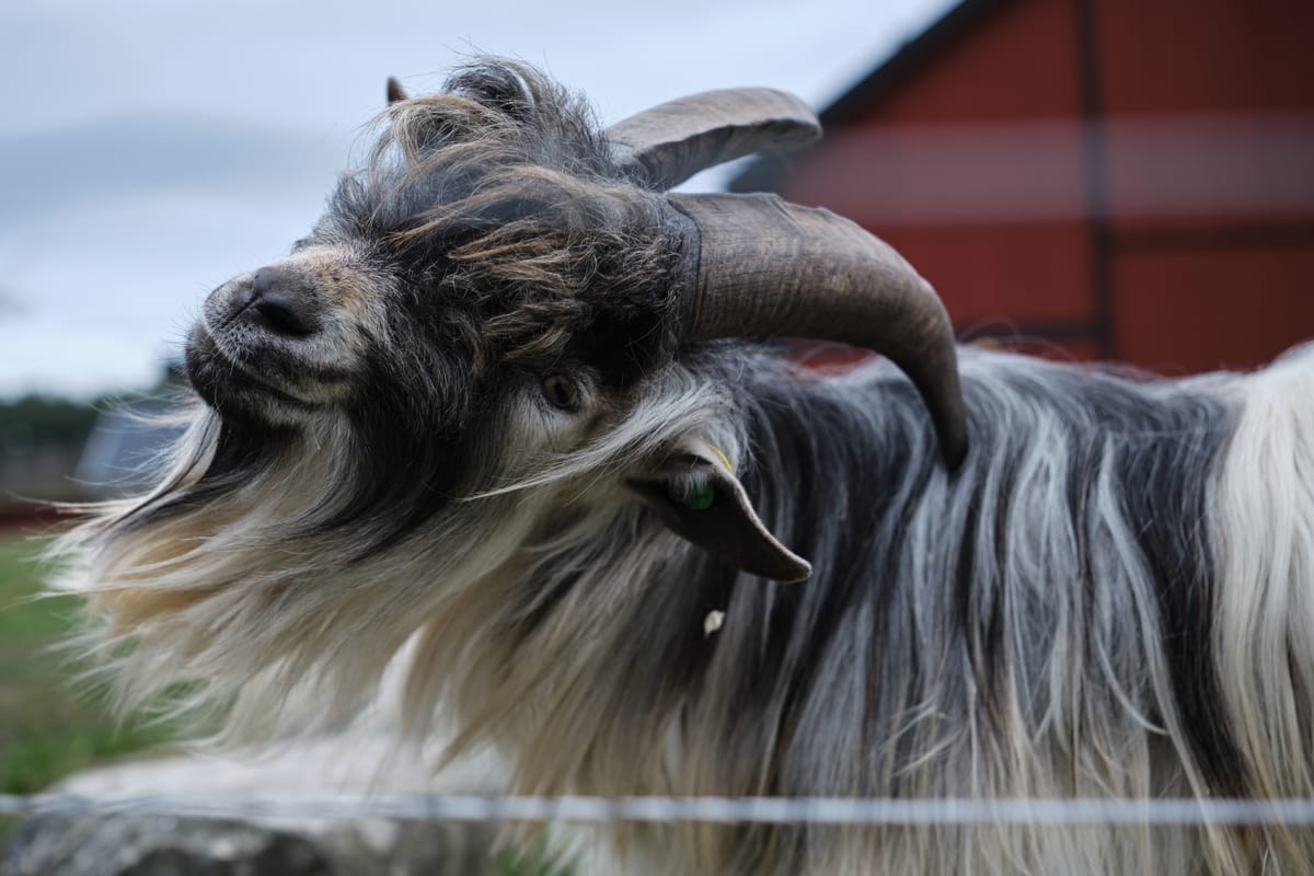 What I'm Reading / Watching / Playing - May 2025