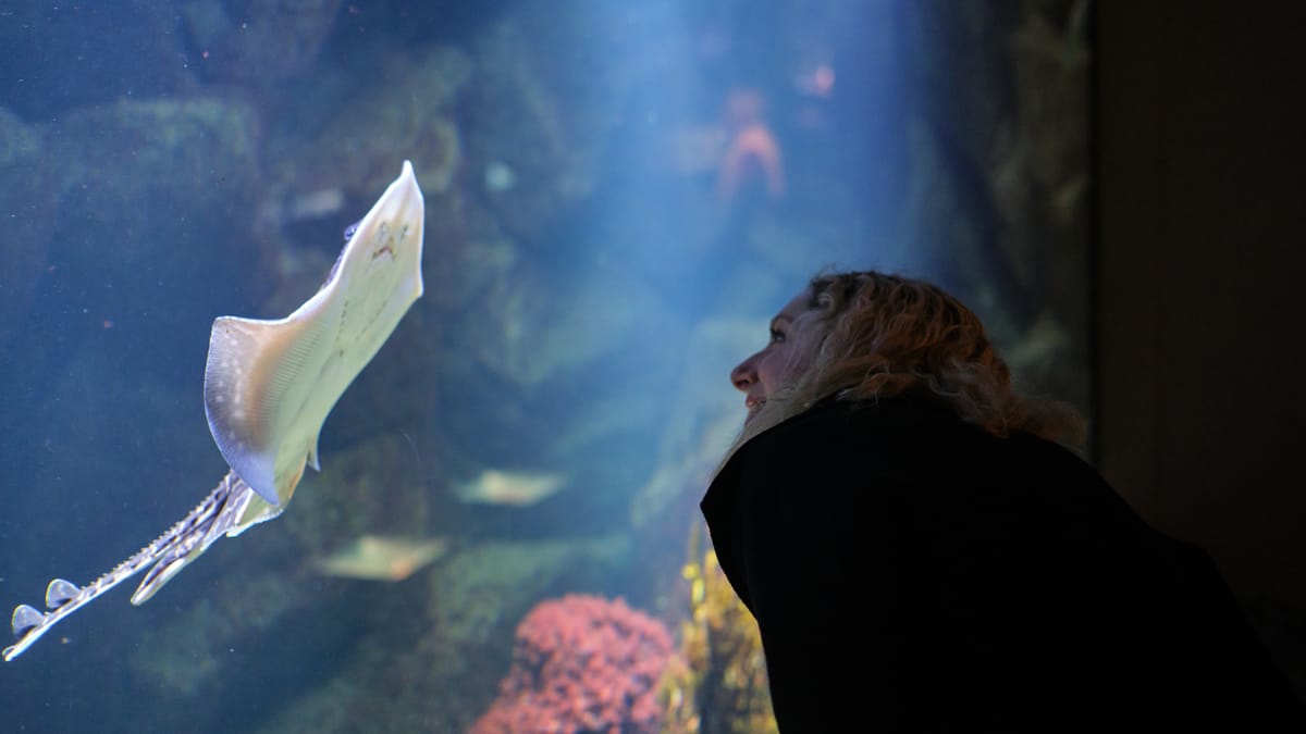 Media Roundup - June 2025