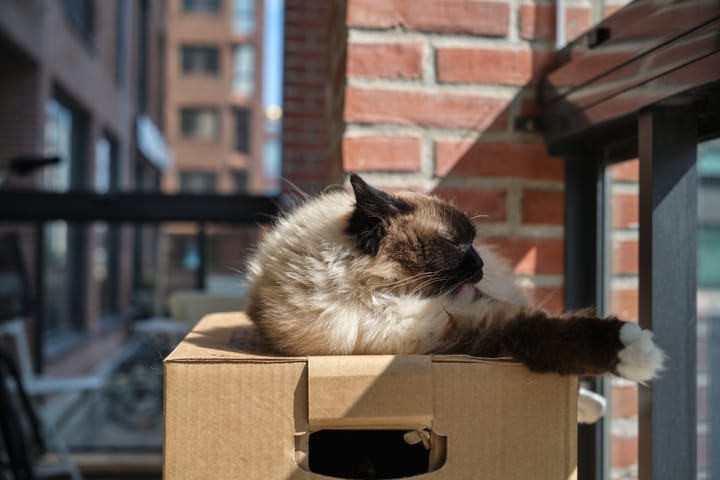 This blog is moving!